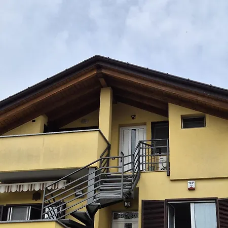 Relax Libellula Cadrezzate