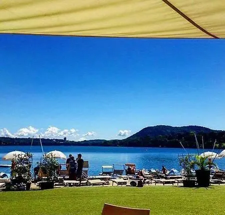 Relax Libellula Cadrezzate