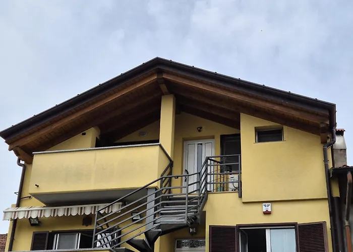 Relax Libellula 카드레짜테